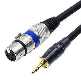 Dexinuo Dsn-35m-xlrf-05 Xlr To 3.5mm 1/8 Inch Stereo Microphone Cable For Camcorders Dslr 1.6 Feet